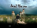 DVD  : Dead Like Me / ˹ٹٵ (1) 2 DVD