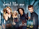DVD  : Dead Like Me / ˹ٹٵ (2) 4 DVD