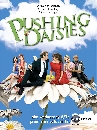 DVD  : Pushing Daisies / ѡ׺Ȩ (2) 4 DVD