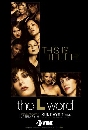 DVD  : The L Word (5) 6 DVD