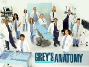 DVD  : Grey's Anatomy Season 6 / ᾷԹ ( 6) 12 蹨
