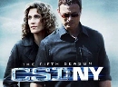 DVD  : CSI New York Season 5 / 䢤ջȹҹ  7 蹨