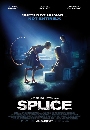 DVD ˹ѧ���� : Splice / �ѵ����ǡ��¾ѹ��������ͧ�š 1 �蹨� (����Ѵ ����͹�ç)