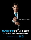 DVD  : White Collar : The Complete First Season  / Ҫҡͧྪ 1  4 蹨