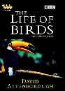 DVD ä : The Life Of Birds 2 蹨