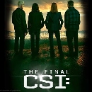 DVD  : CSI Series Finale (2015) 1  蹨