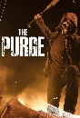 DVD  : The Purge (Season 1) 2 蹨