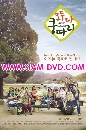 DVD  : Everybody Say Kungdari 12 蹨