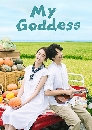 DVD ѹ : My Goddess ١ѡԺҹ 5 蹨