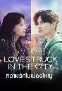 DVD  (ҡ) : ѡͧ˭ Love Struck in the City 5 蹨