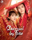 DVD չ (ҡ) : ҹ˭ԧ ҪԧҡѺ Decreed by Fate (2022) 4 蹨