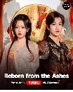 DVD ������չ : Reborn from the Ashes (2025) �Ҩѹ��������� 4 �蹨�